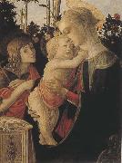 Sandro Botticelli Madonna of the Rose Garden or Madonna and Child with St John the Baptist painting